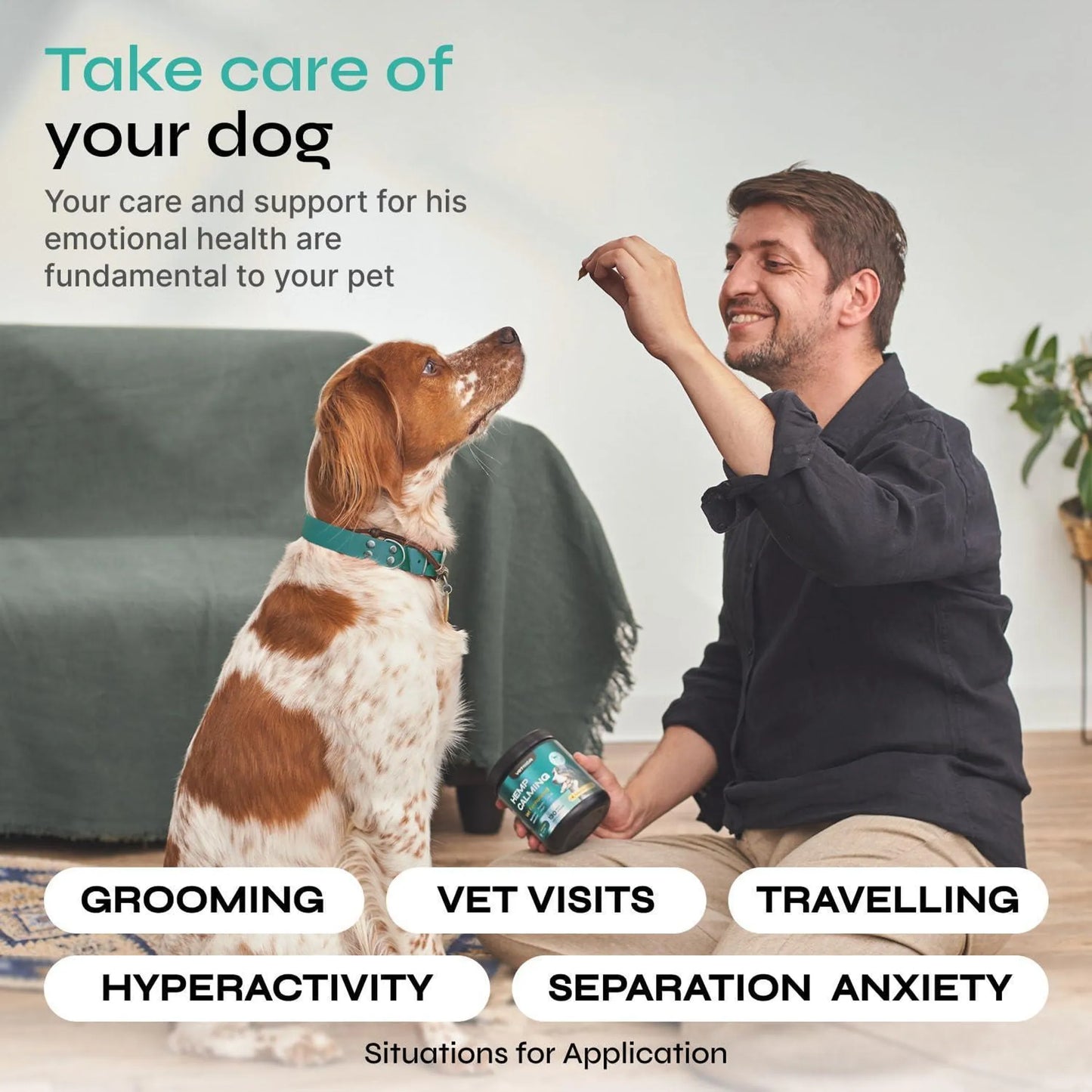 Vetrica Hemp Calming Chews for Dogs