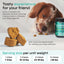 Hemp Calming Chews for Dog Anxiety Relief