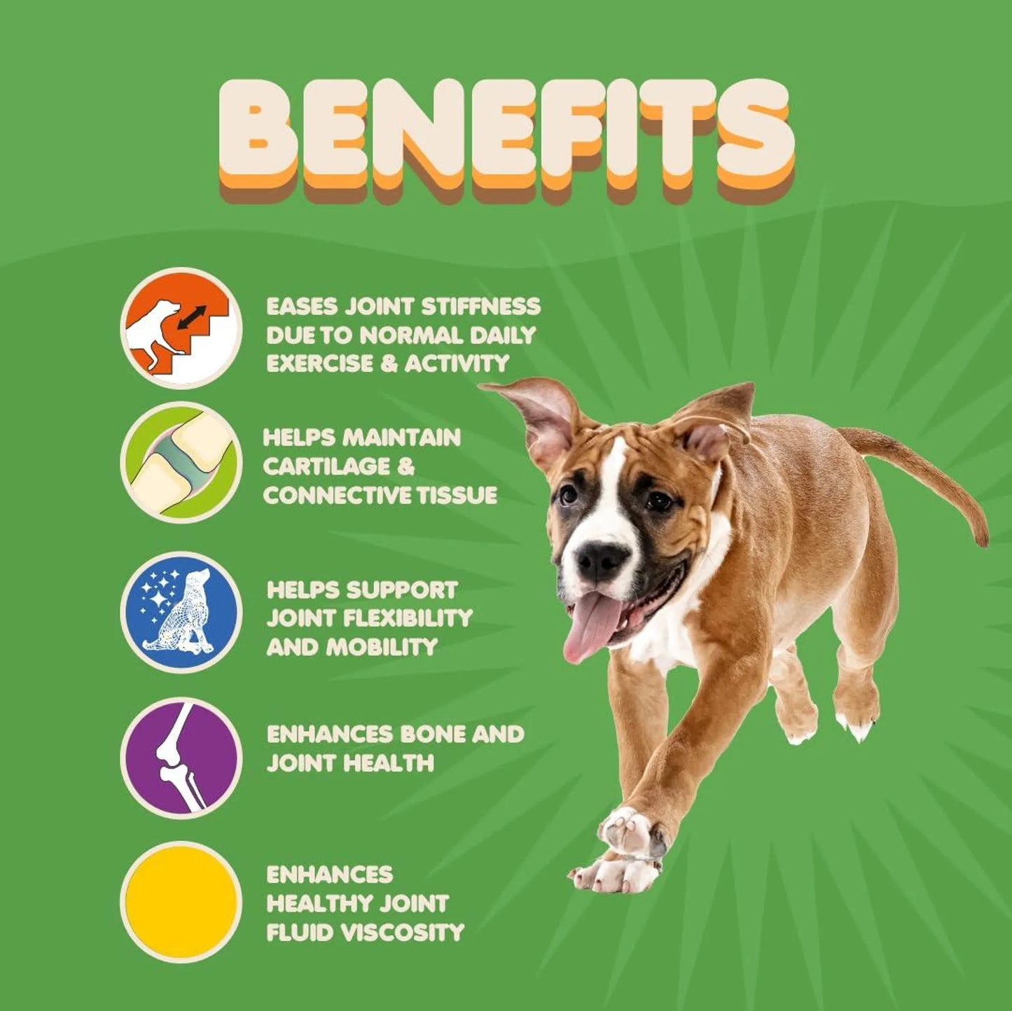 Collagen for Dogs & Cats - Your Pet Connection