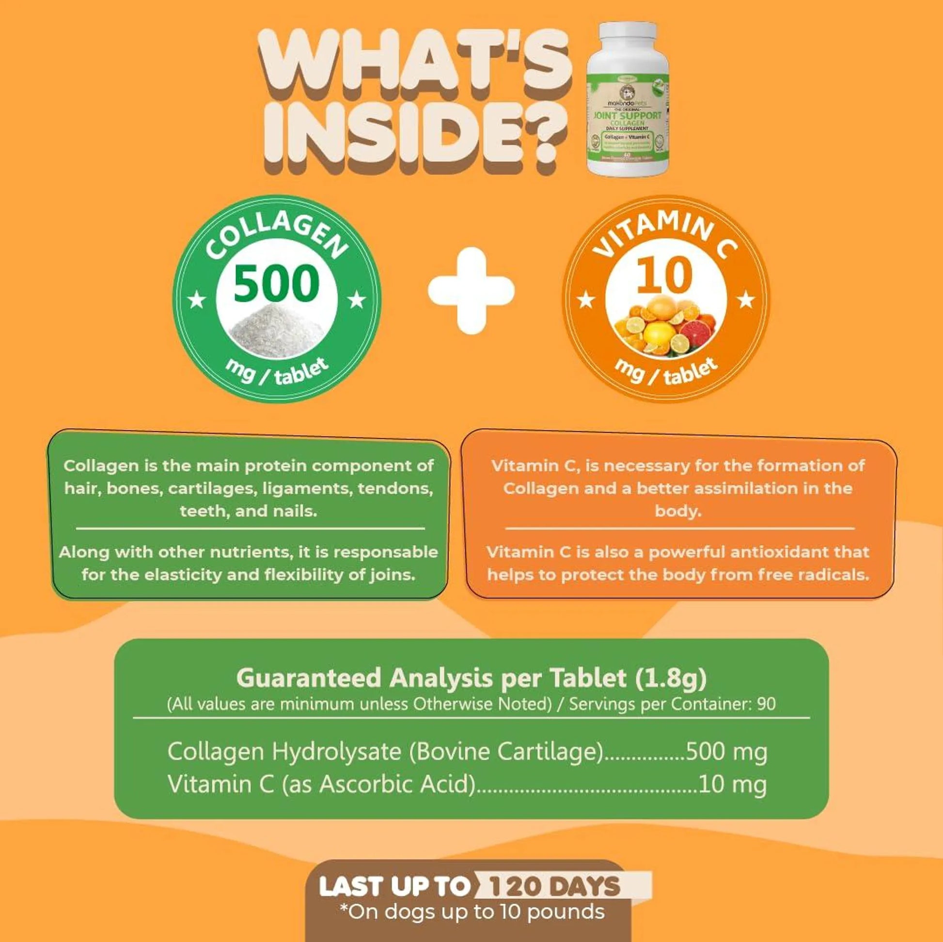 Collagen for Dogs & Cats - Your Pet Connection