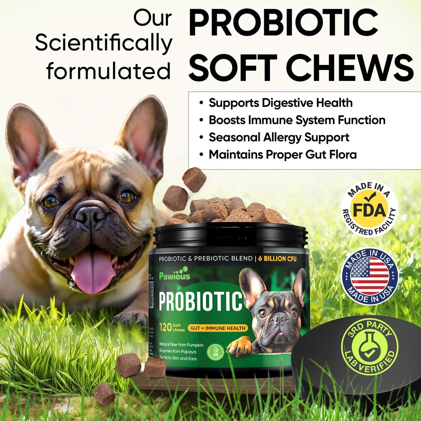 Pawious Probiotic Chews for Dogs 8oz