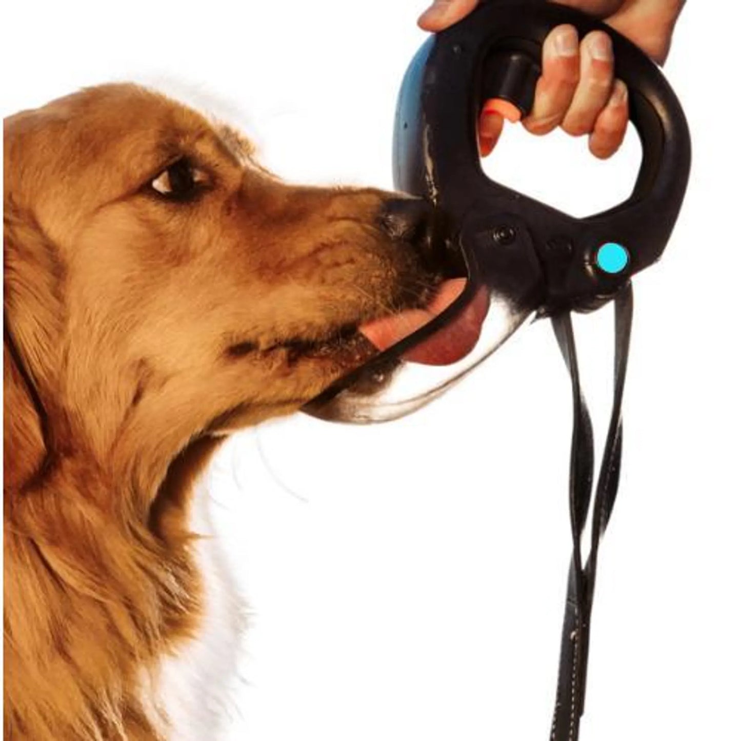 Spleash Dog Hydration Bottle 12 fl oz