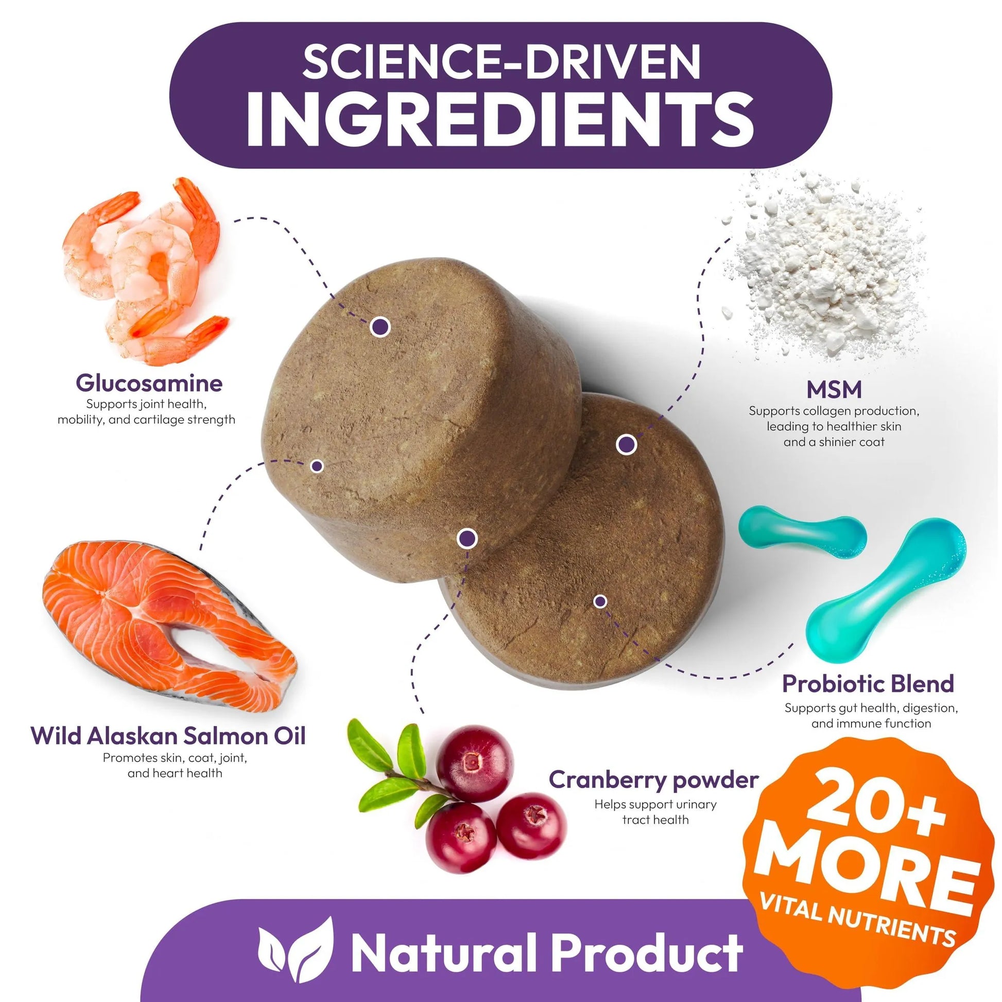 Multivitamin Chewable Dog Vitamins and Supplement - Your Pet Connection