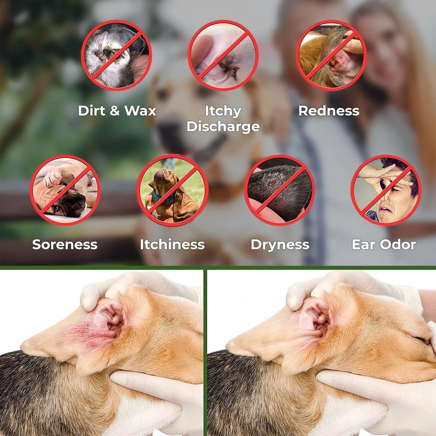 Arava - Dead Sea Pet Spa Natural Puppy Wipes 50 Pack