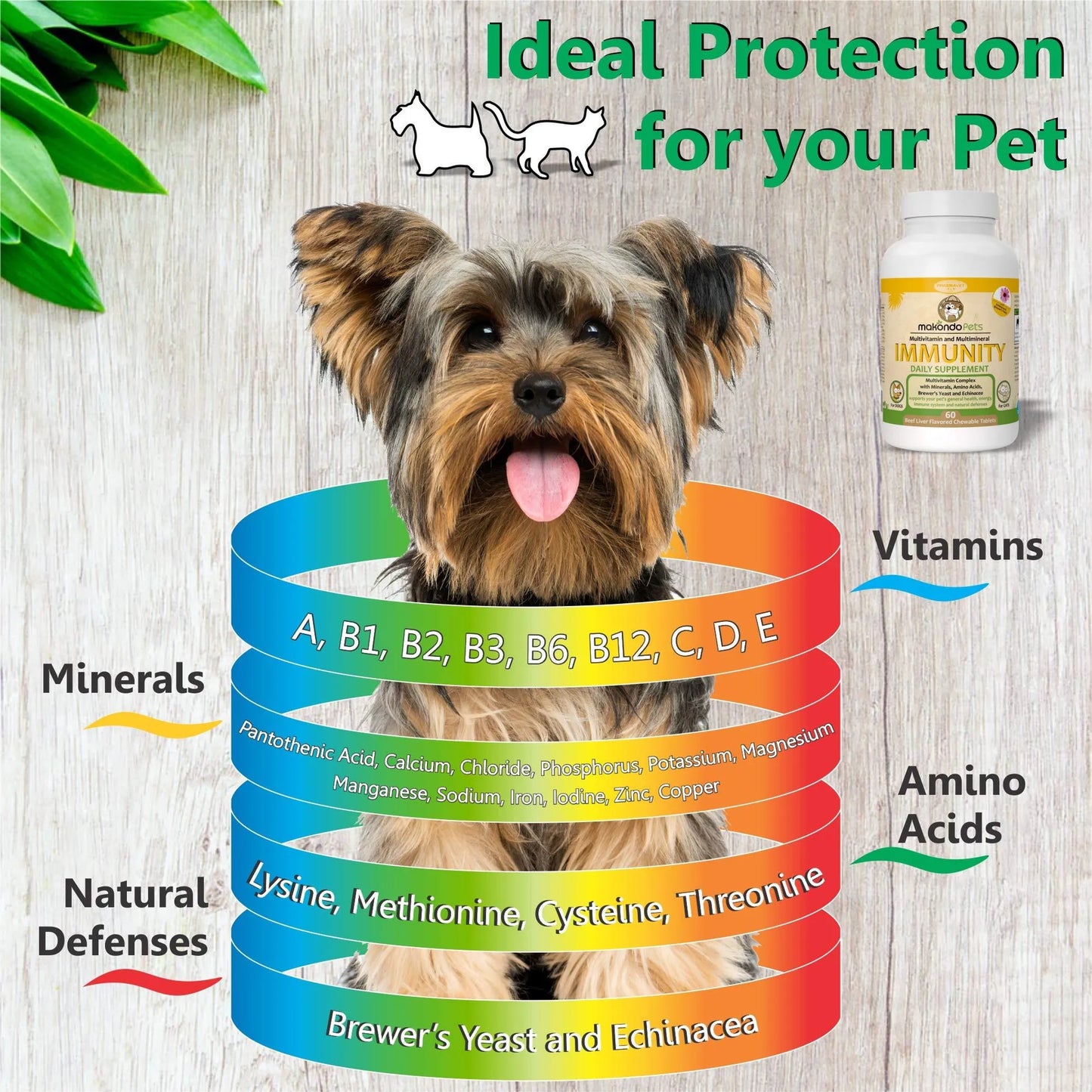 Immune Support Dog Supplement Dog Allergy Relief with Vitamins Minerals Echinacea and Brewers Yeast for Dogs Immunity Dog Health Supplies Dog Itch Rel - Your Pet Connection
