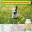 Immune Support Dog Supplement Dog Allergy Relief with Vitamins Minerals Echinacea and Brewers Yeast for Dogs Immunity Dog Health Supplies Dog Itch Rel - Your Pet Connection