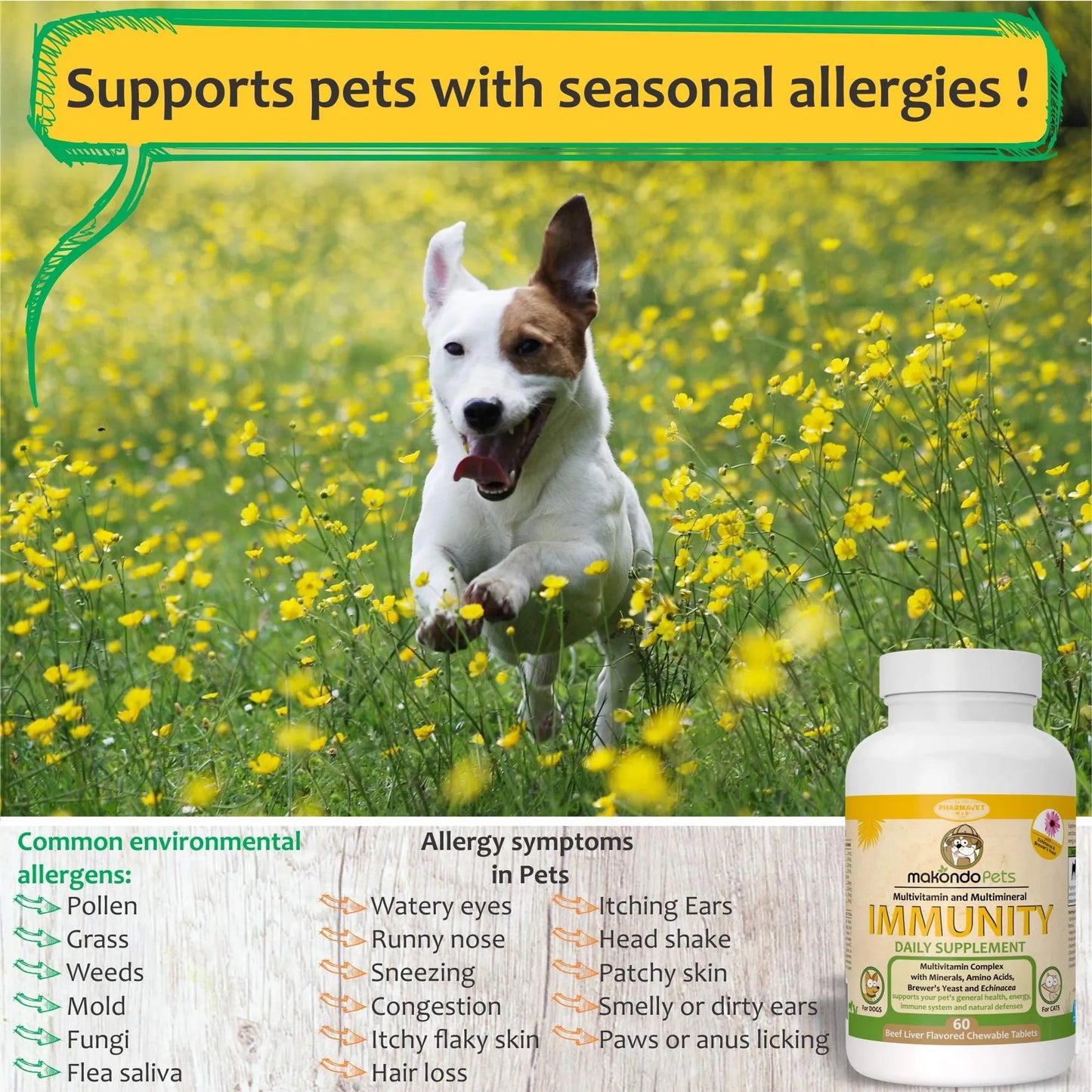 Immune Support Dog Supplement Dog Allergy Relief with Vitamins Minerals Echinacea and Brewers Yeast for Dogs Immunity Dog Health Supplies Dog Itch Rel - Your Pet Connection