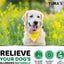 2 Pack Dog Allergy Relief Chews - Your Pet Connection
