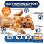 Petsology Probiotic Digestive Support Chews 5oz