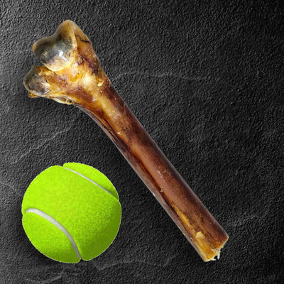 Medium Ostrich Cane : The Long-Lasting, Flavor-Packed Chew for Medium & Large Dogs