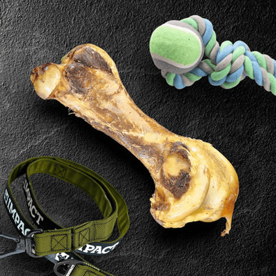 Ostrich Hip Bone : The Durable, Flavor-Packed Chew for Medium & Large Dogs - Your Pet Connection