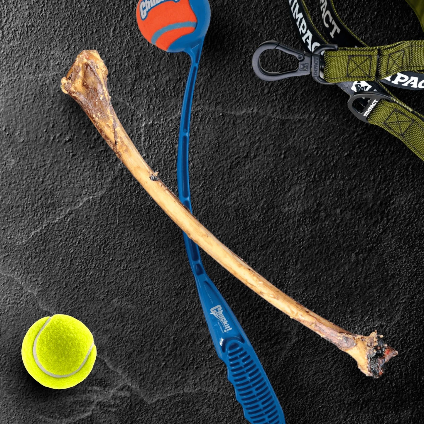 Ostrich Wing Bone : The Ultimate Long-Lasting Chew for Small Dogs & Light Chewers - Your Pet Connection