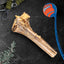 Large Ostrich Cane : The Ultimate Long-Lasting Chew for Medium, Large & XL Dogs - Your Pet Connection