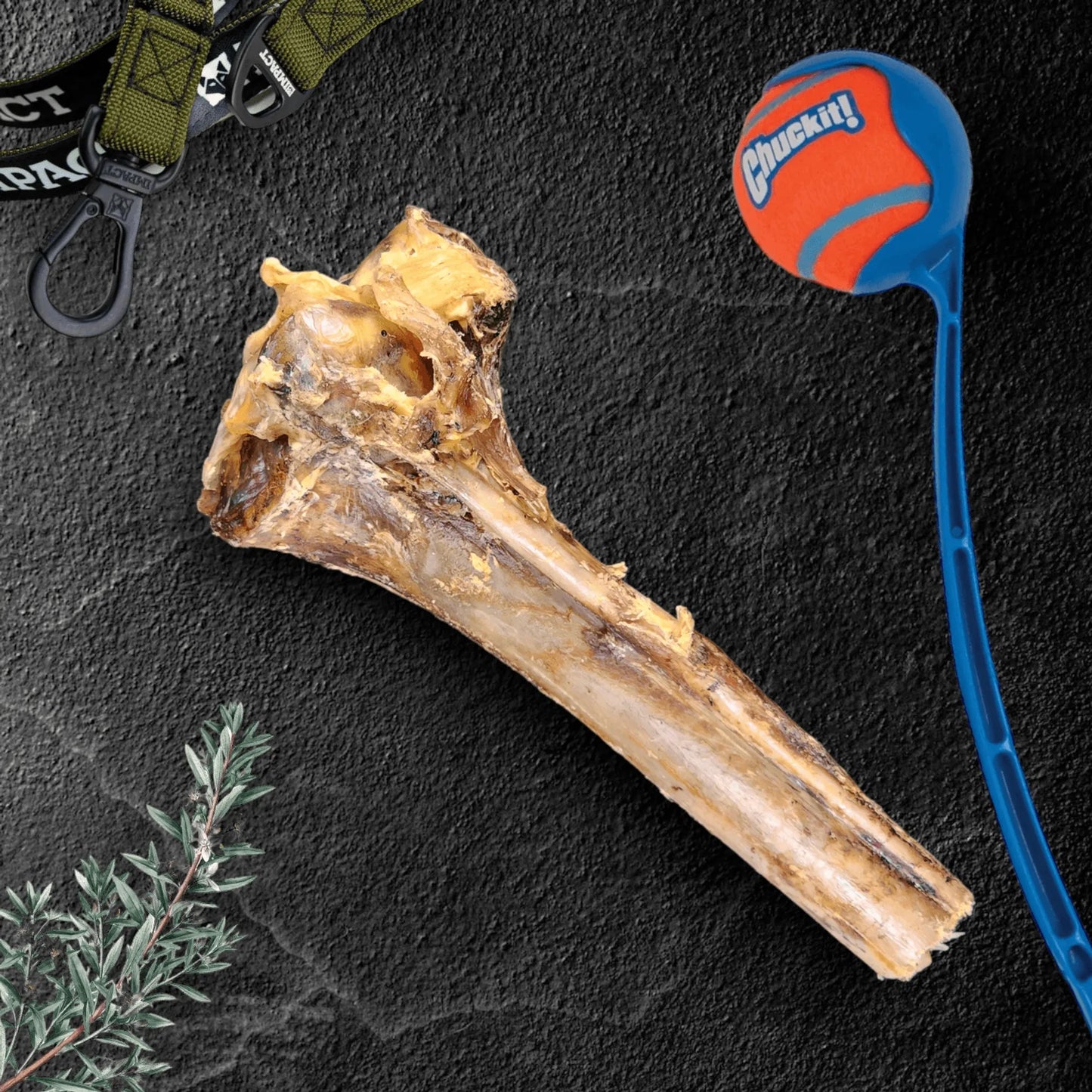 Large Ostrich Cane : The Ultimate Long-Lasting Chew for Medium, Large & XL Dogs - Your Pet Connection