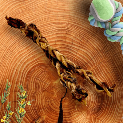 Ostrich Tendon Twister : The Satisfying, All-Natural Chew for Dental Health & Joint Support - Your Pet Connection