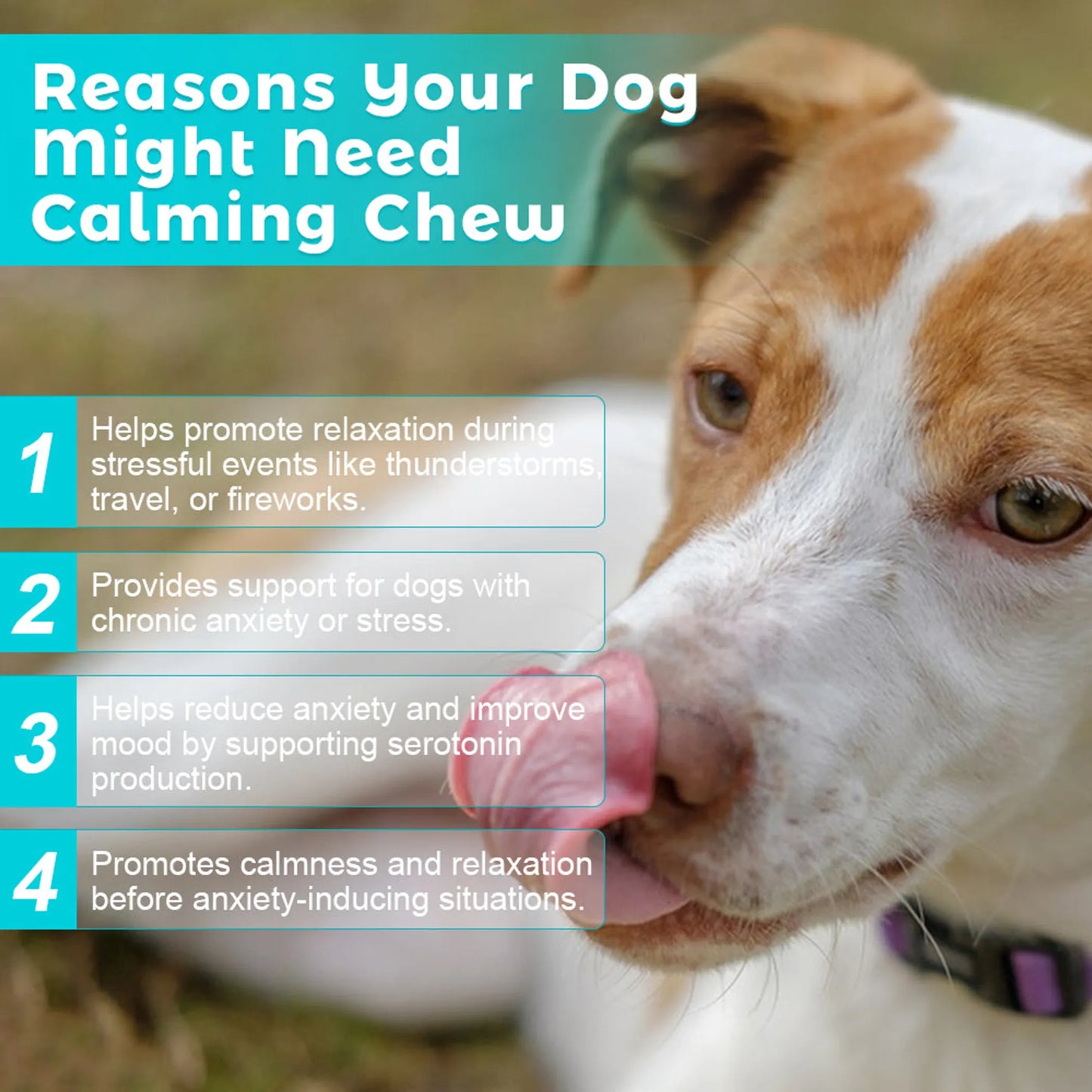 Welsdom Calming Chewable Tablets for Dogs