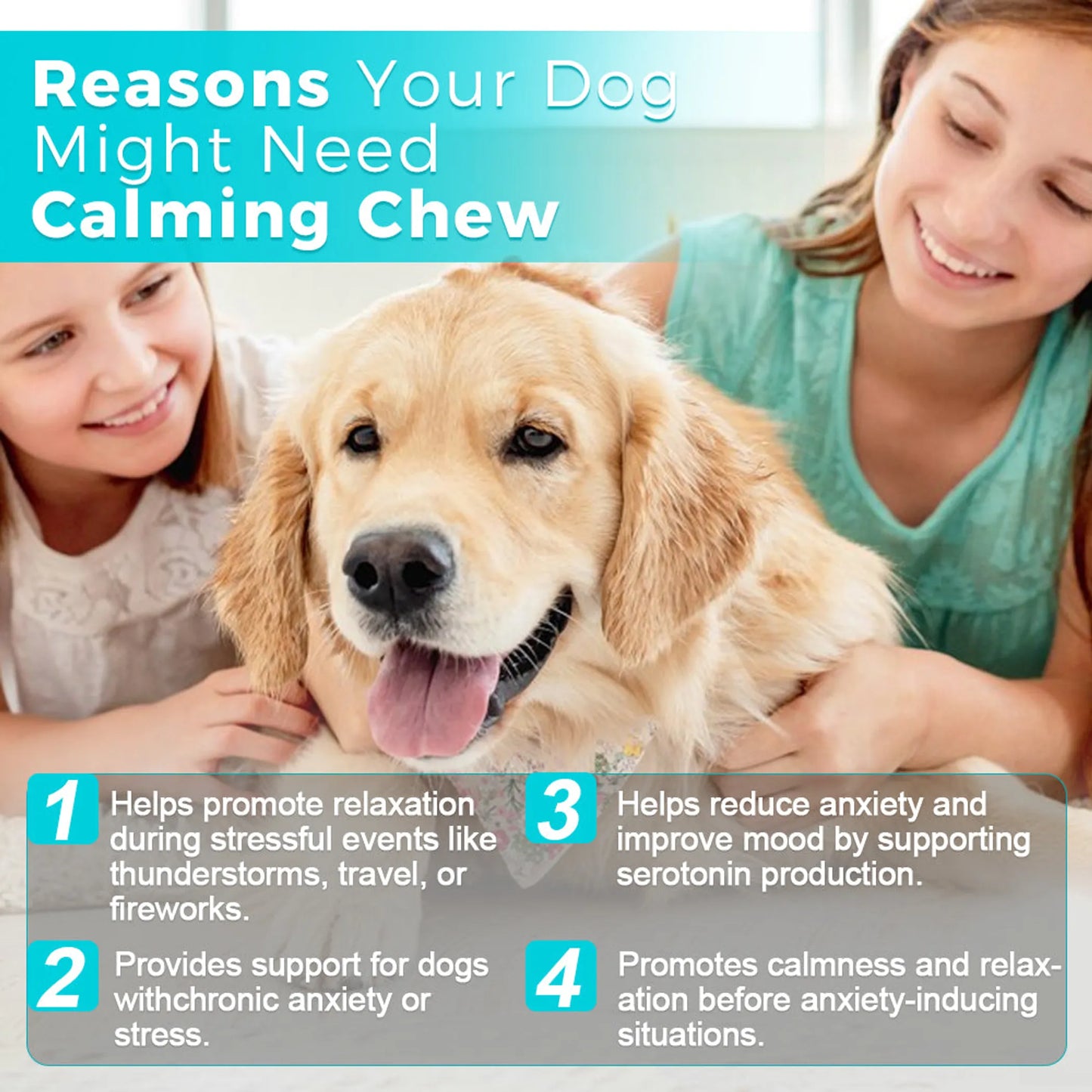 Welsdom Calming Chewable Tablets for Dogs