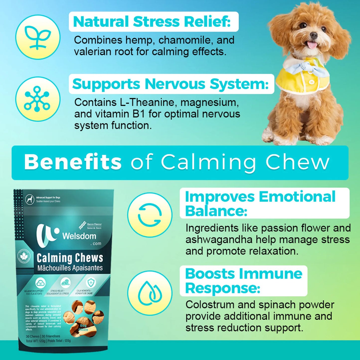Welsdom Calming Chewable Tablets for Dogs