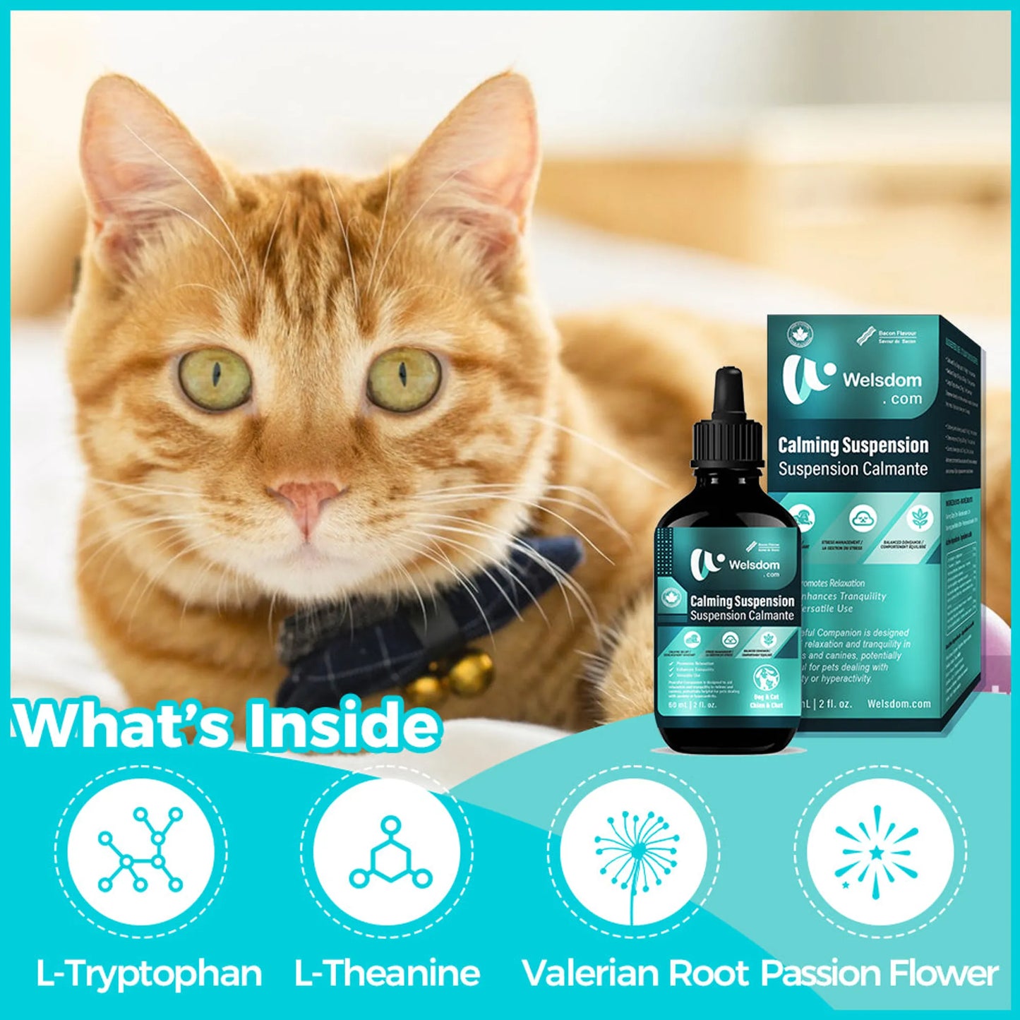 Welsdom Paws & Calm Drops 60mL