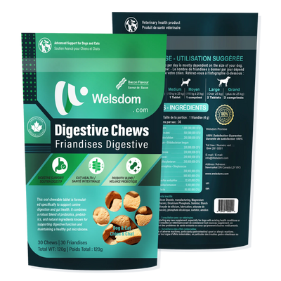 Welsdom Digestive Health Chewable Tablets for Dogs
