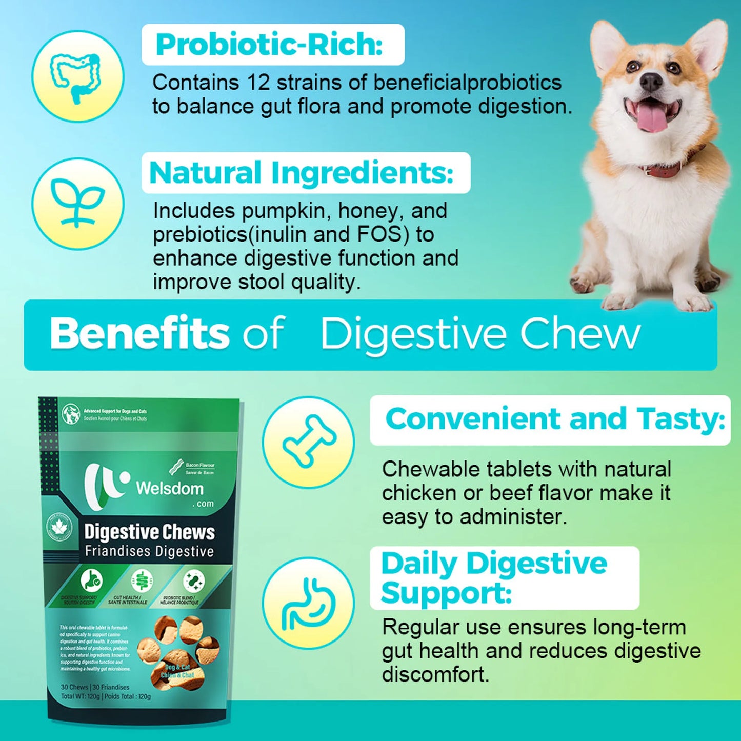 Welsdom Digestive Health Chewable Tablets for Dogs