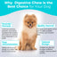 Welsdom Digestive Health Chewable Tablets for Dogs