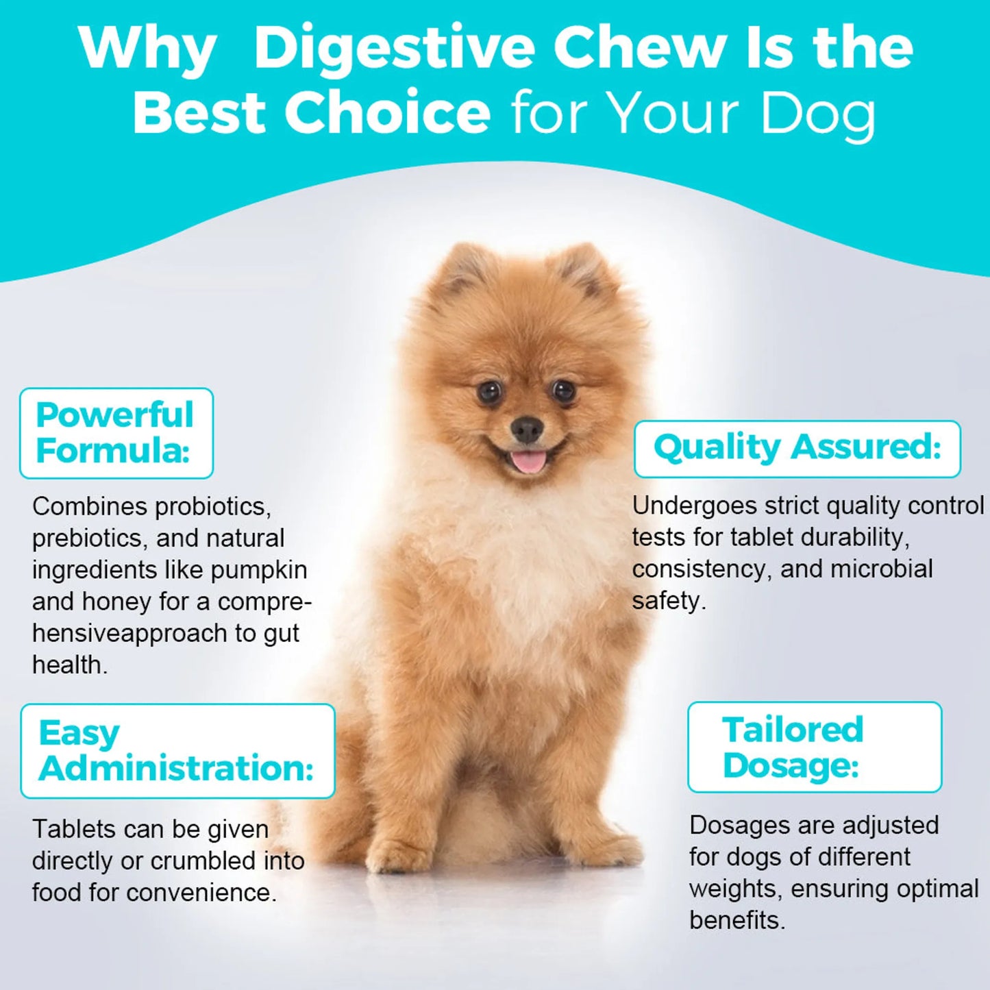 Welsdom Digestive Health Chewable Tablets for Dogs