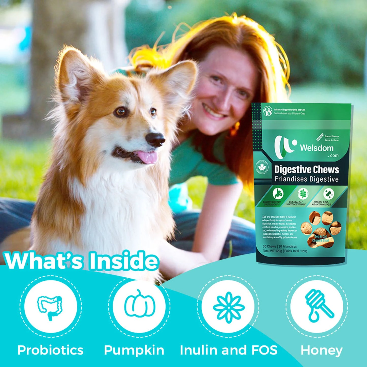 Welsdom Digestive Health Chewable Tablets for Dogs