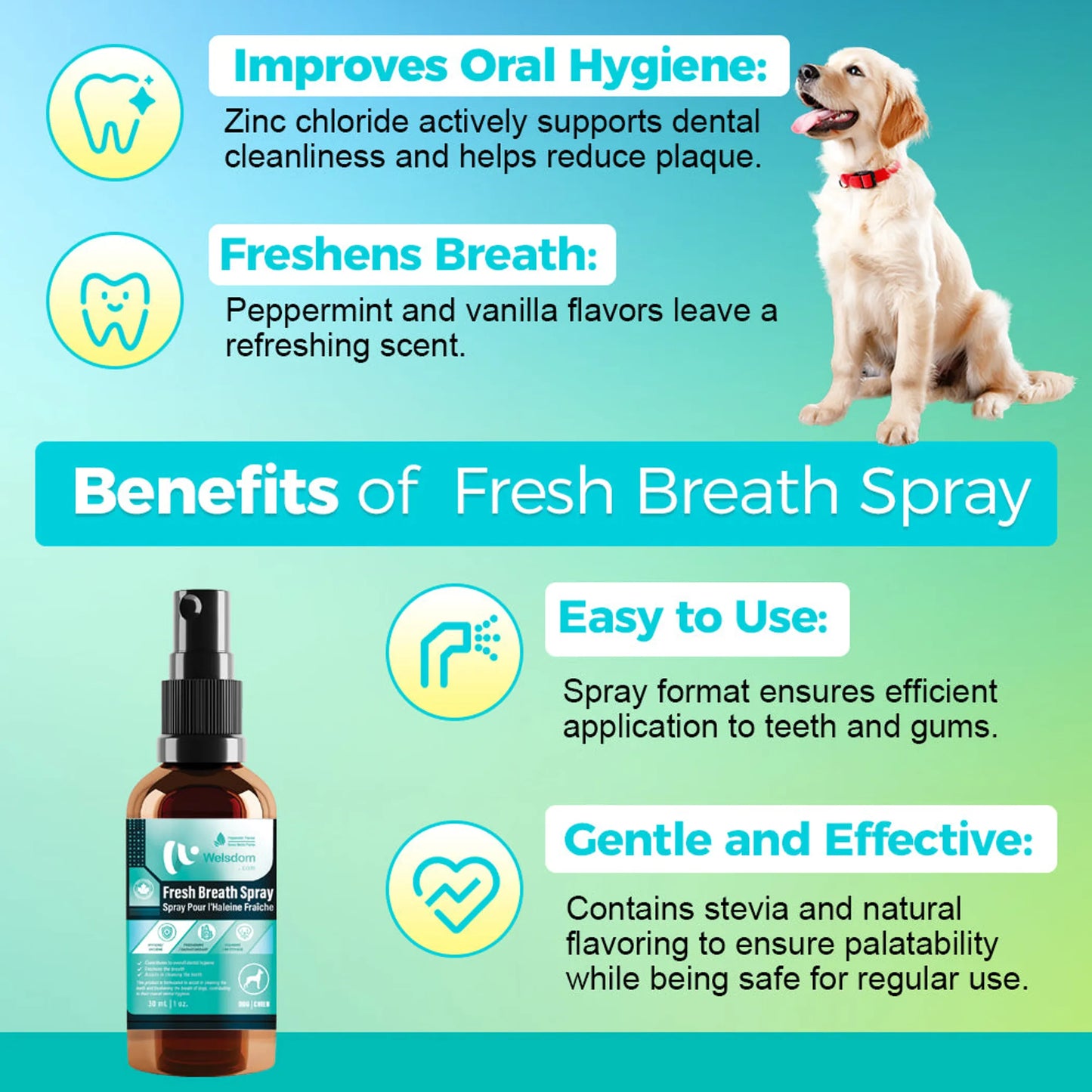 Welsdom Fresh Breath Oral Care Spray 60ml