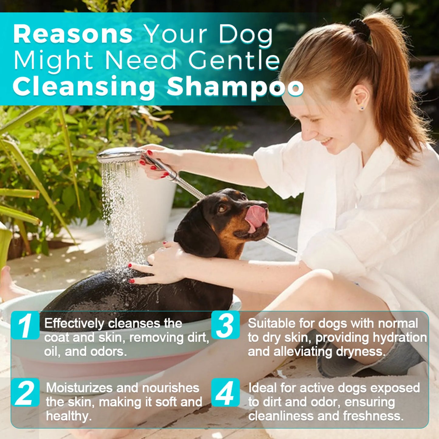 Welsdom Gentle Cleansing Dog Shampoo 240ml