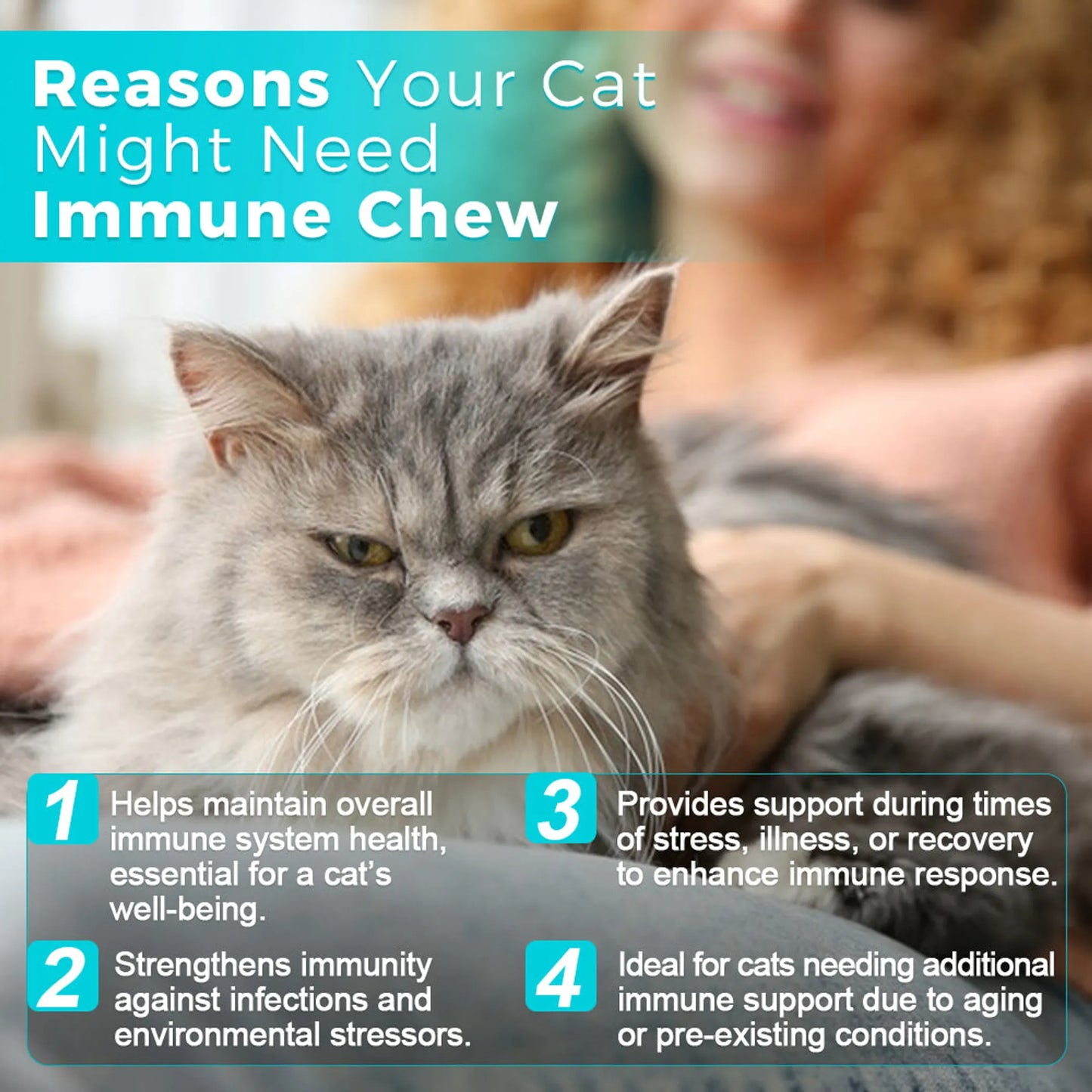 Welsdom Immune Support Chewable Tablets for Cats