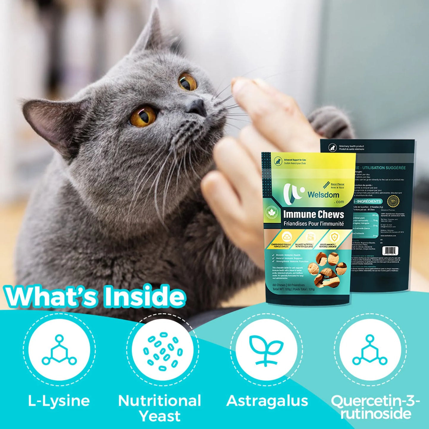 Welsdom Immune Support Chewable Tablets for Cats