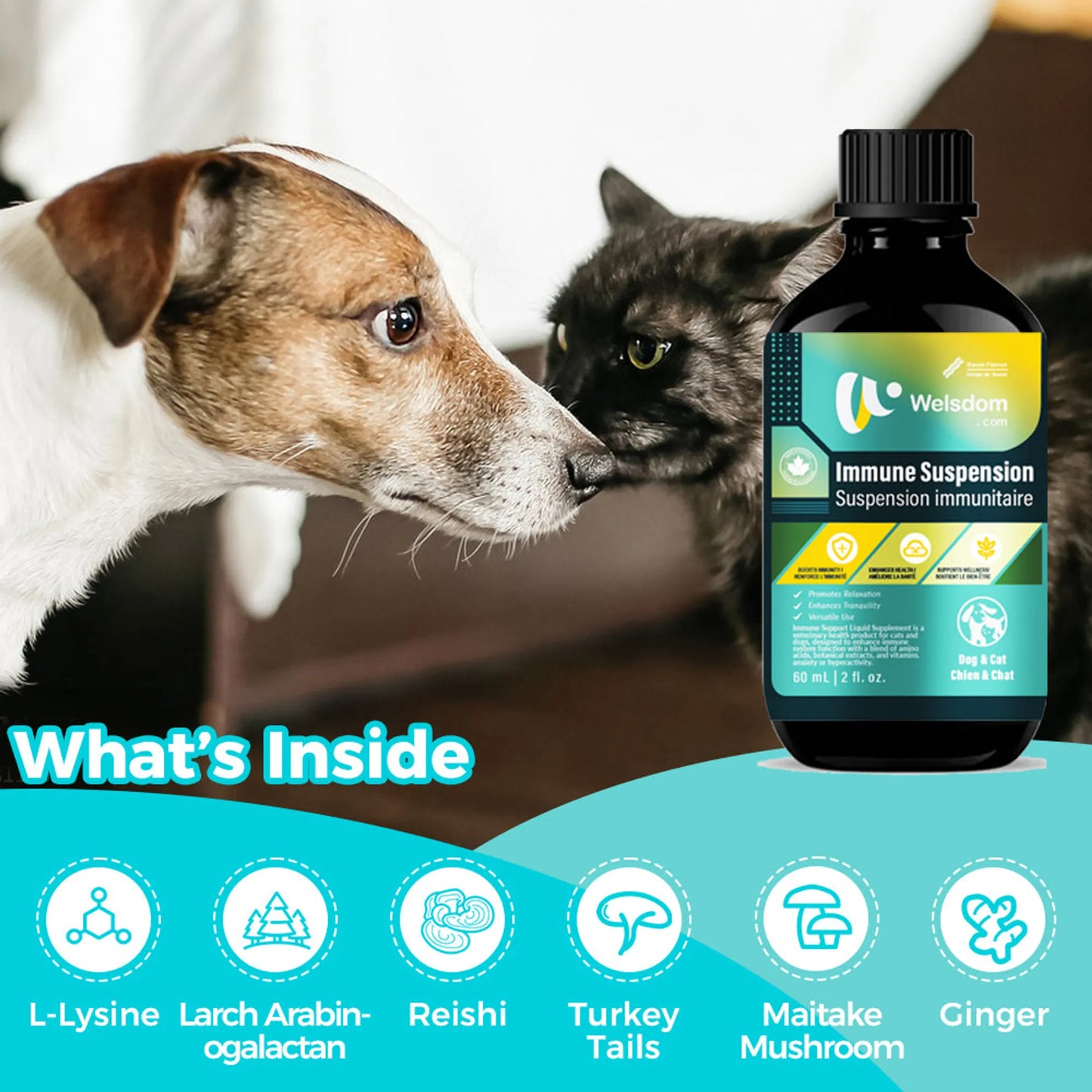 Welsdom Immune Boost for Pets 60mL