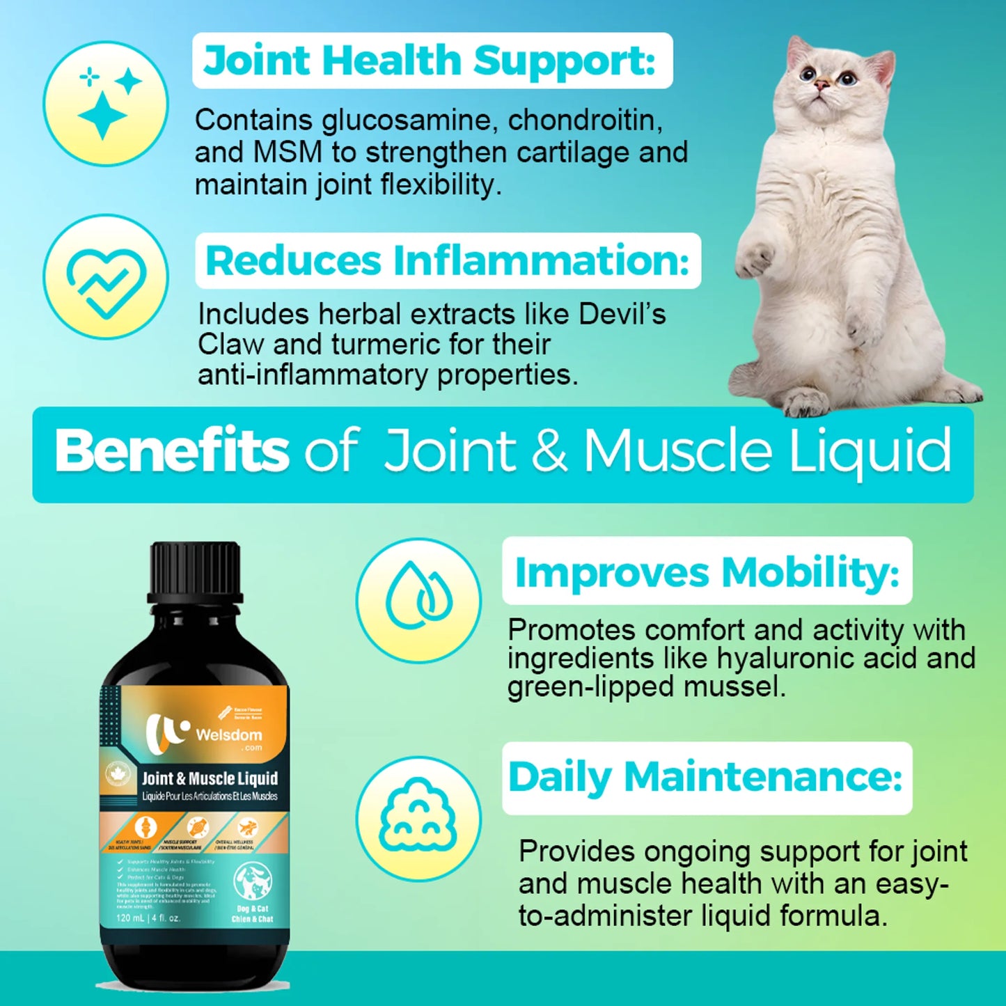 Welsdom Joint & Muscle Support Liquid Supplement