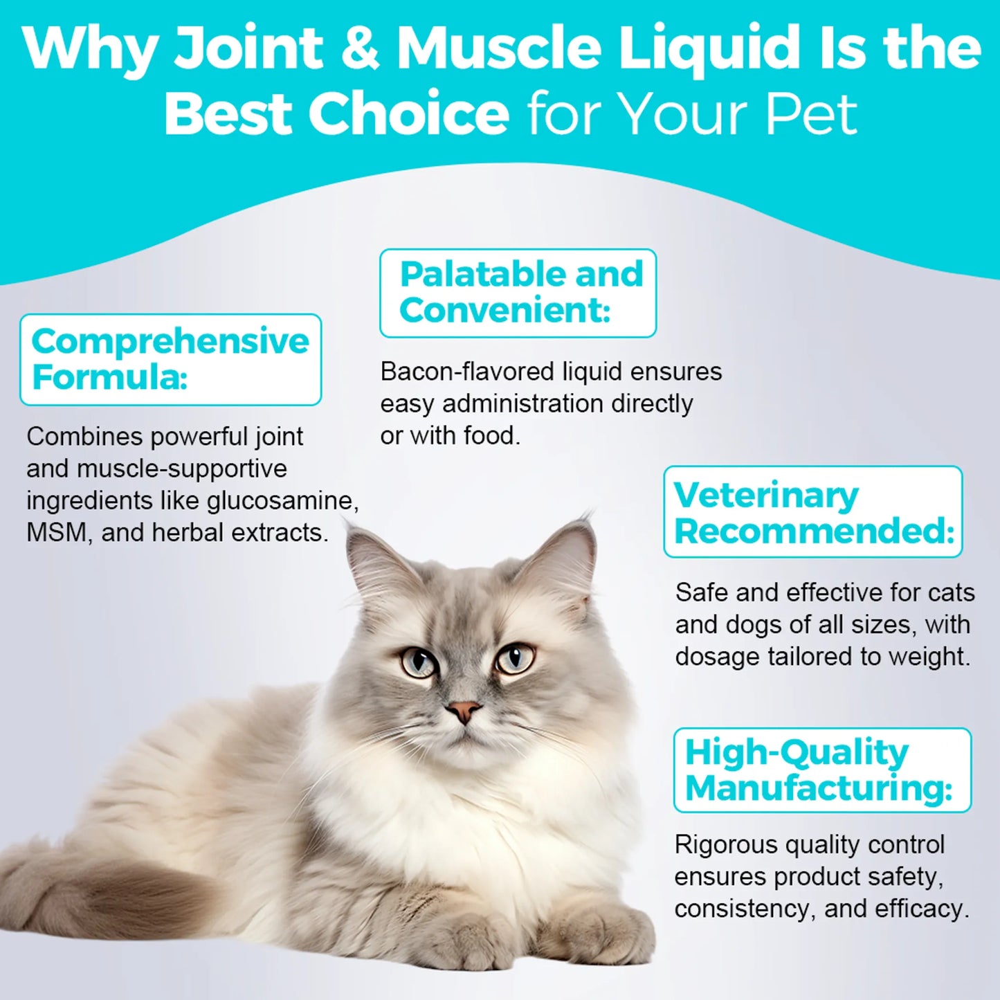 Welsdom Joint & Muscle Support Liquid Supplement