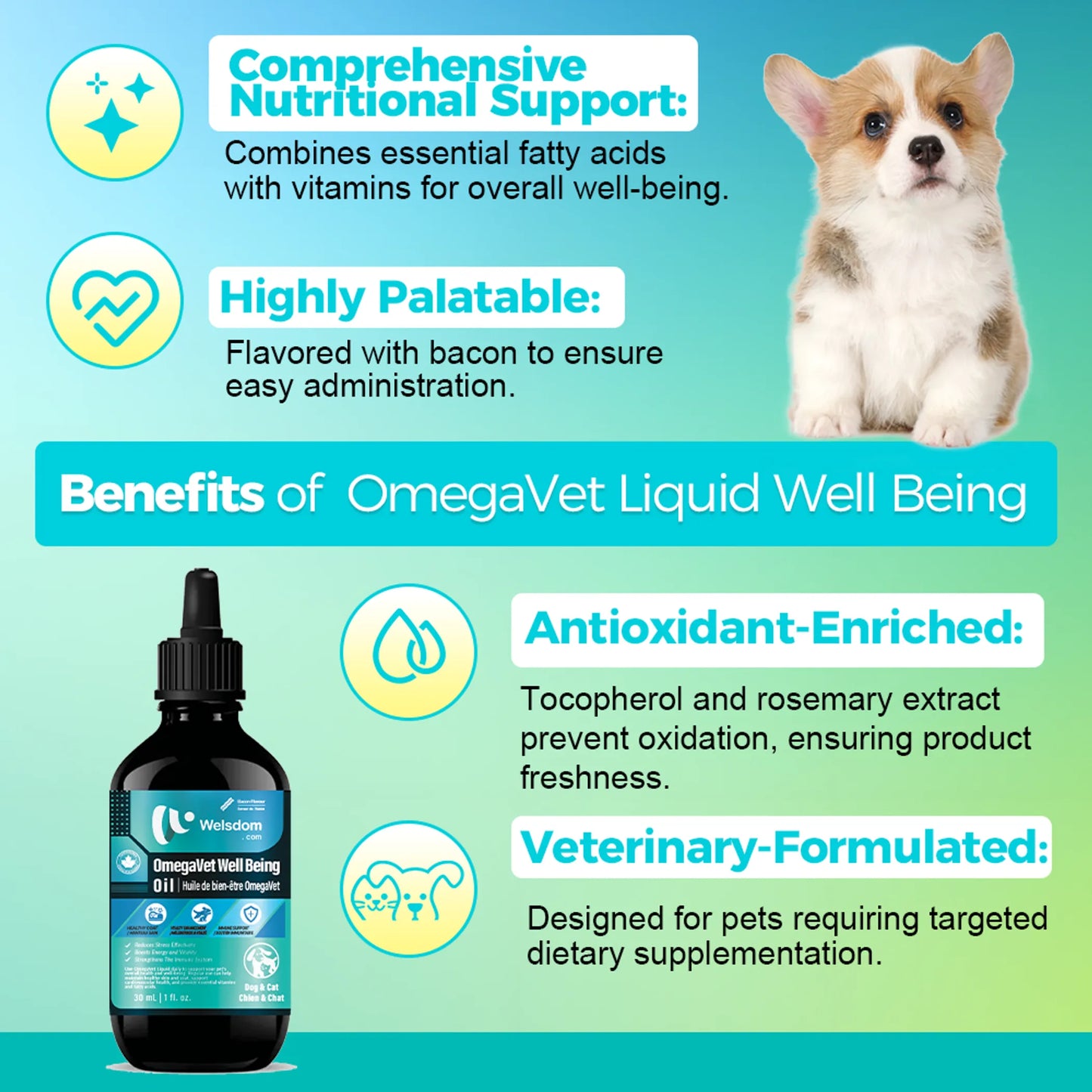 Welsdom OmegaVet Liquid Pet Supplement