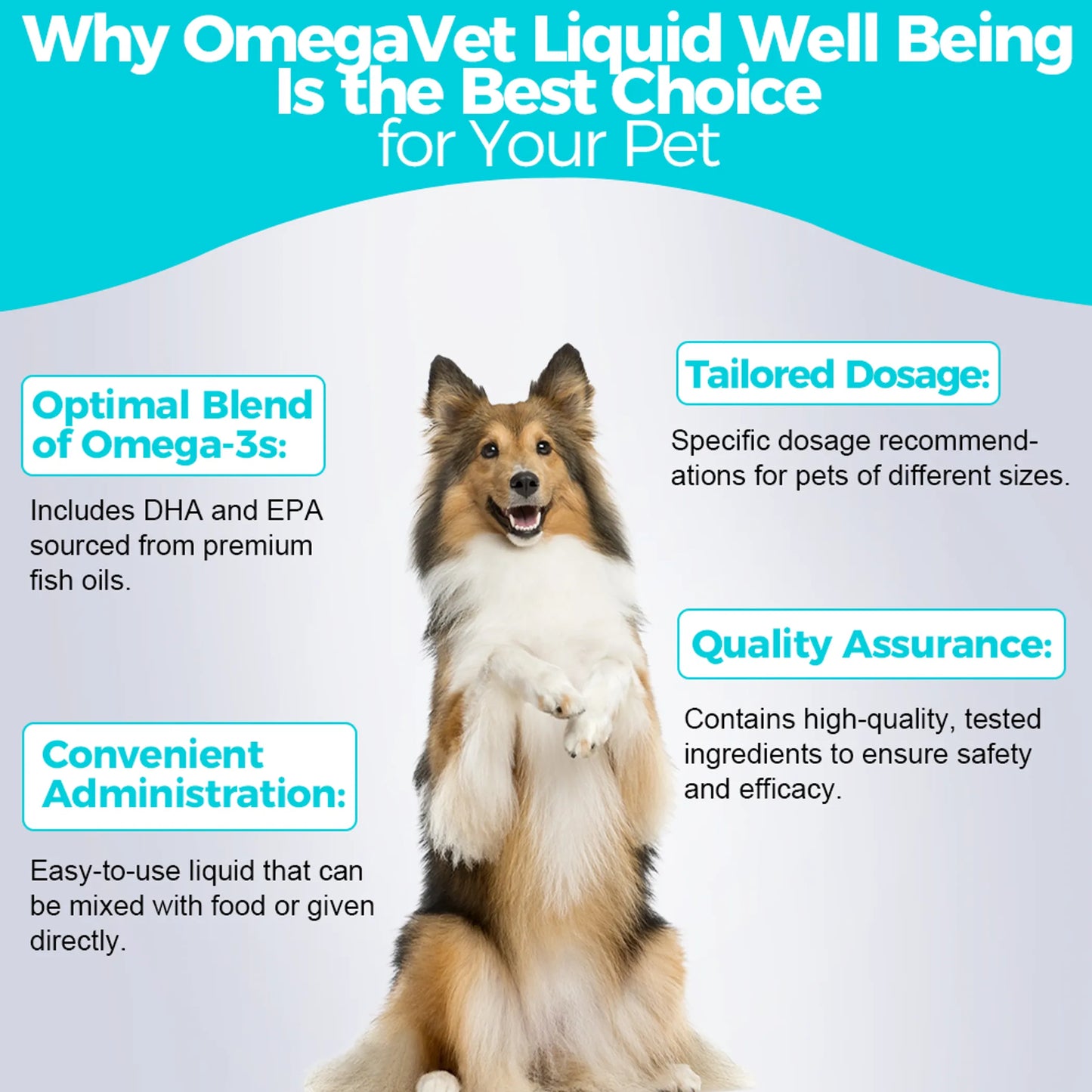 Welsdom OmegaVet Liquid Pet Supplement