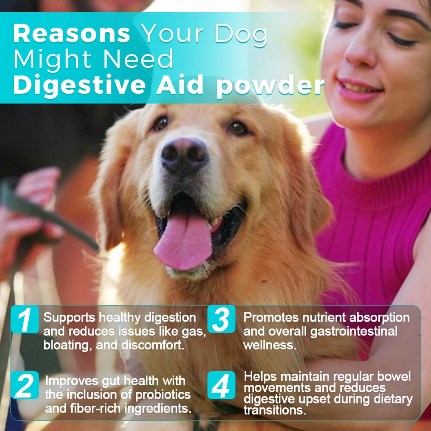 Welsdom Digestive Aid Powder 227g