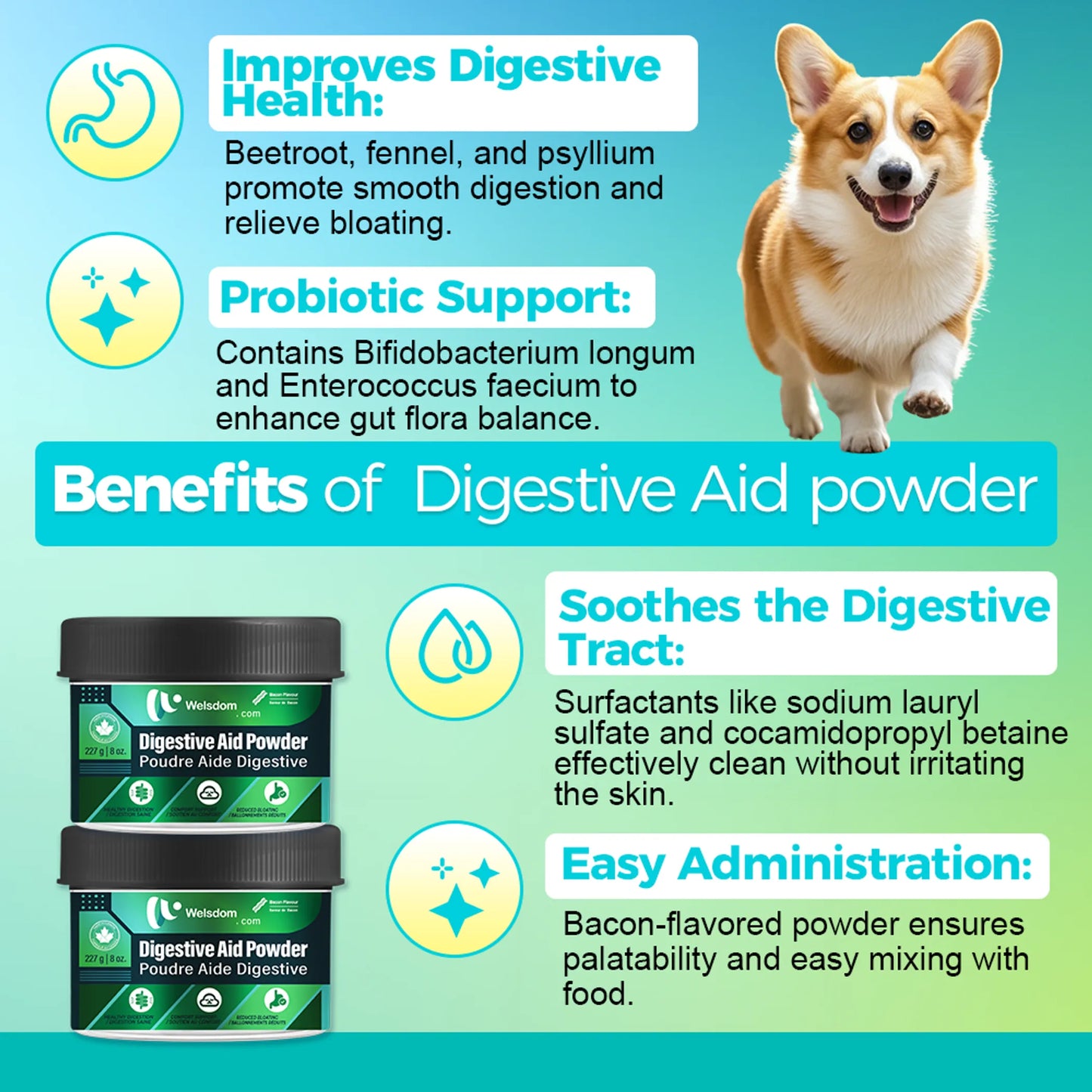 Welsdom Digestive Aid Powder 227g