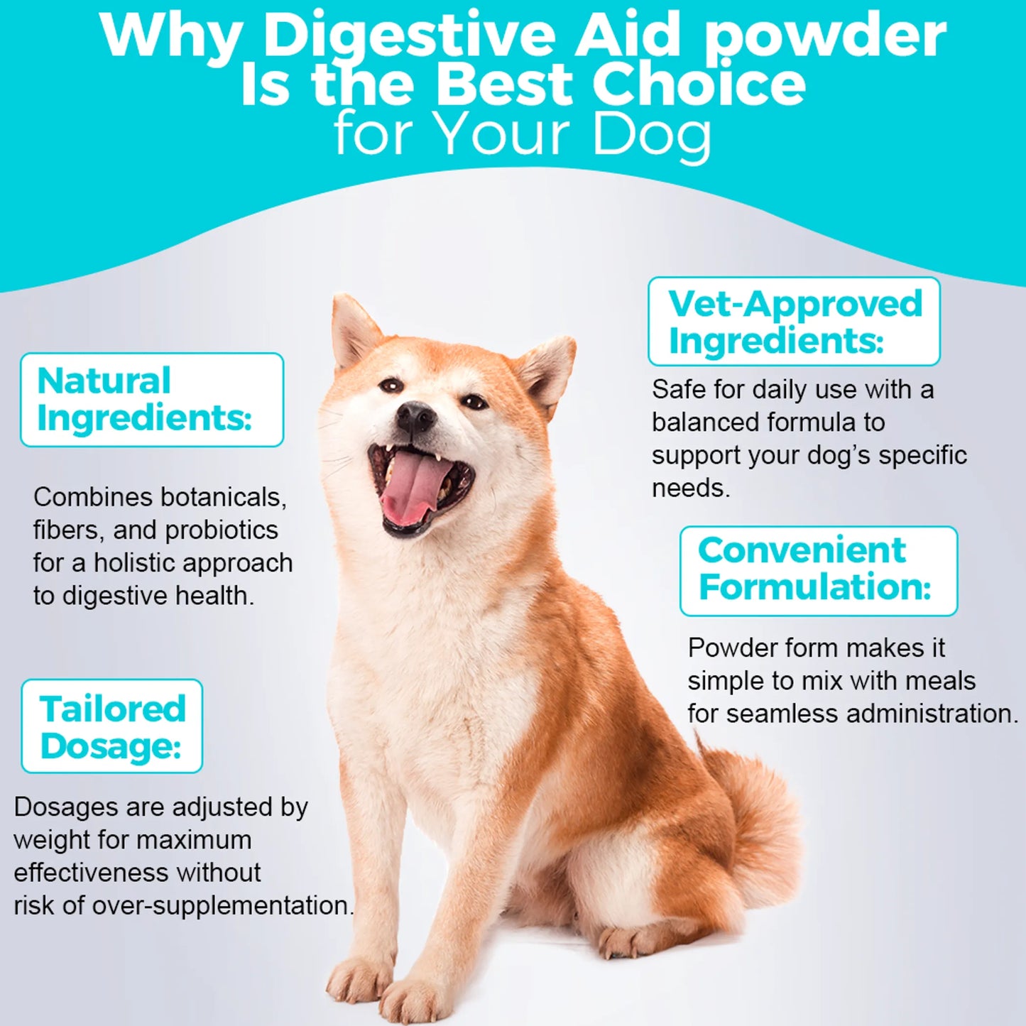 Welsdom Digestive Aid Powder 227g