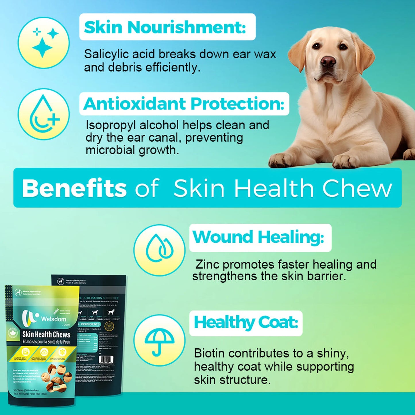 Welsdom Skin Health Chews 30 Count