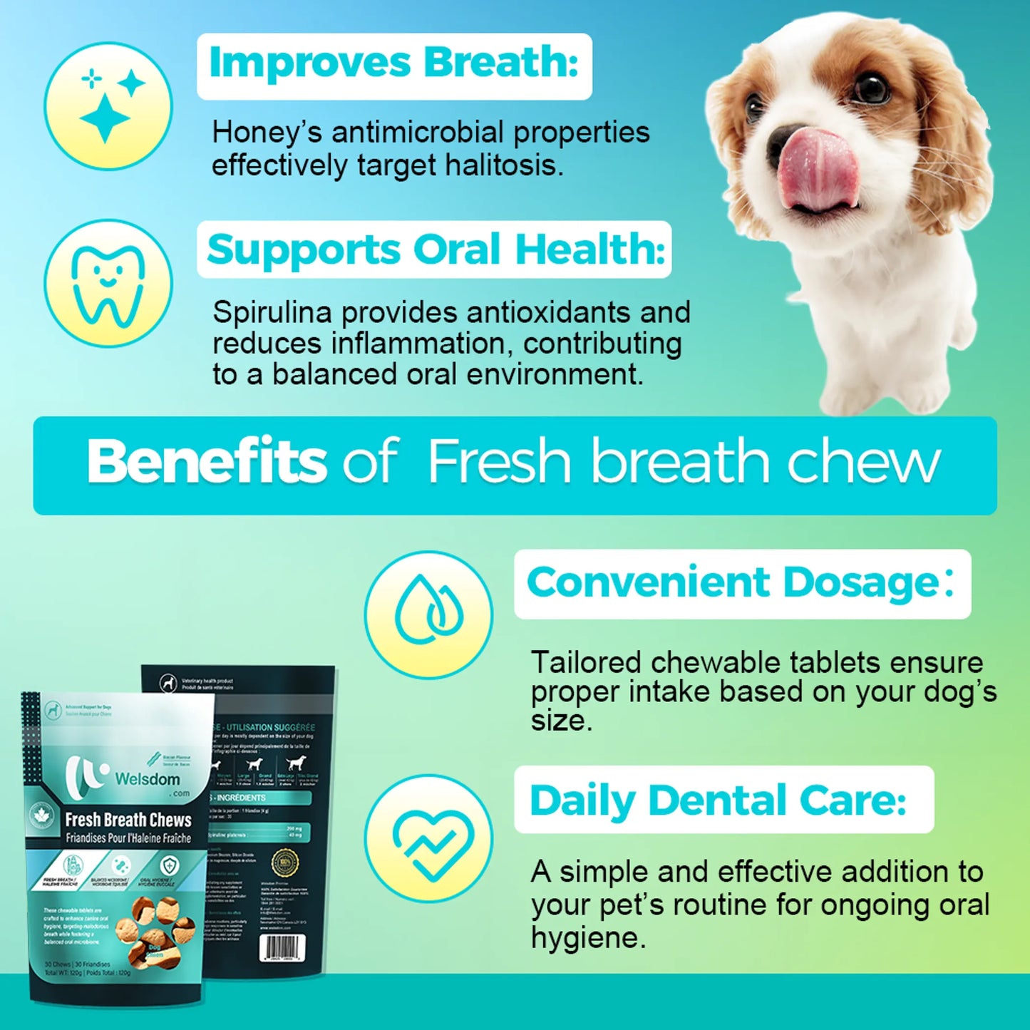 Welsdom Fresh Breath Chews for Dogs 100g