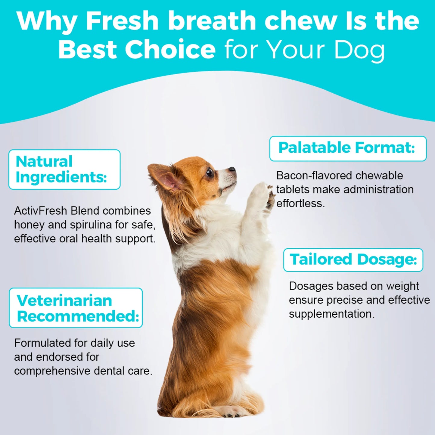 Welsdom Fresh Breath Chews for Dogs 100g