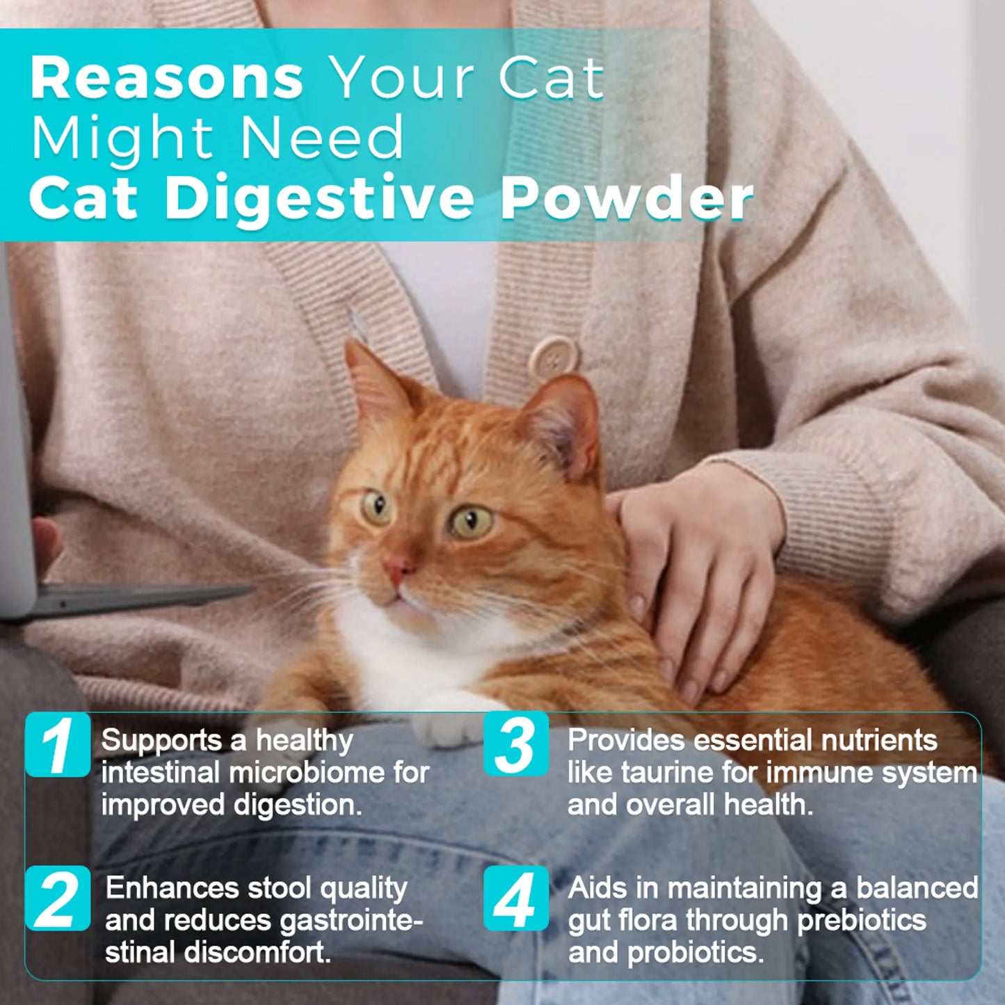 Welsdom Cat Digestive Health Powder 250g