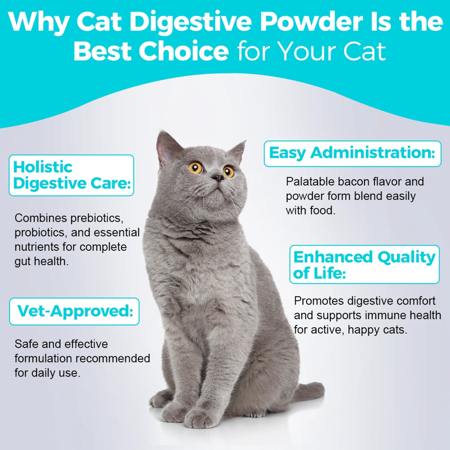 Welsdom Cat Digestive Health Powder 250g