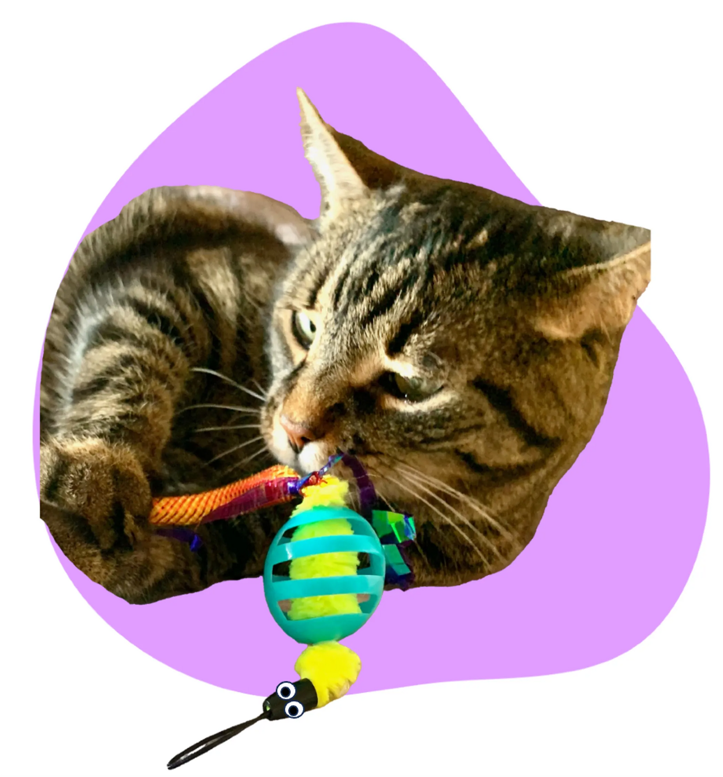 Oral Care Floss & Treat Toothbrush Toy - Your Pet Connection