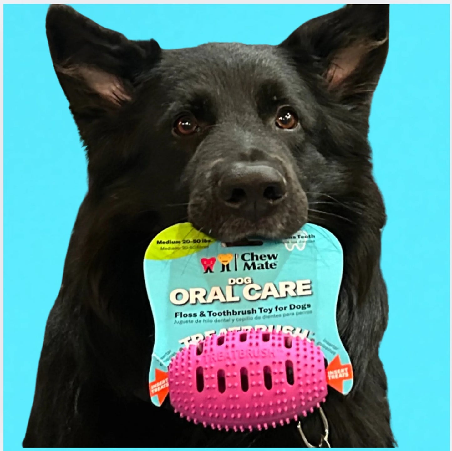 Natural Rubber Football Oral Care Toy - Your Pet Connection