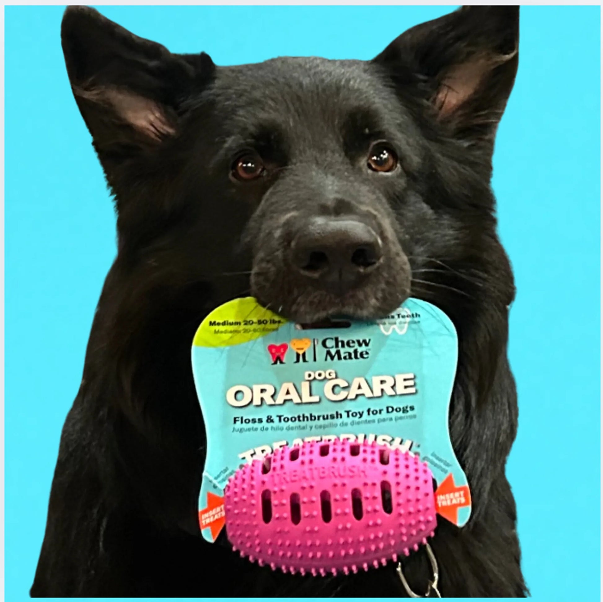 Natural Rubber Football Oral Care Toy - Your Pet Connection