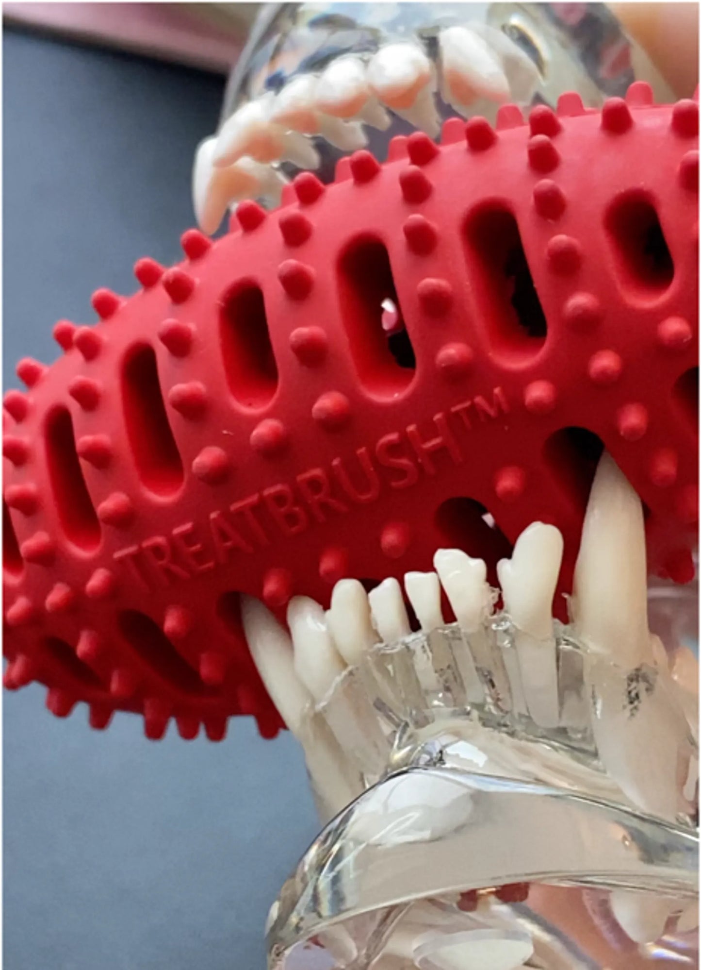 Natural Rubber Football Oral Care Toy - Your Pet Connection