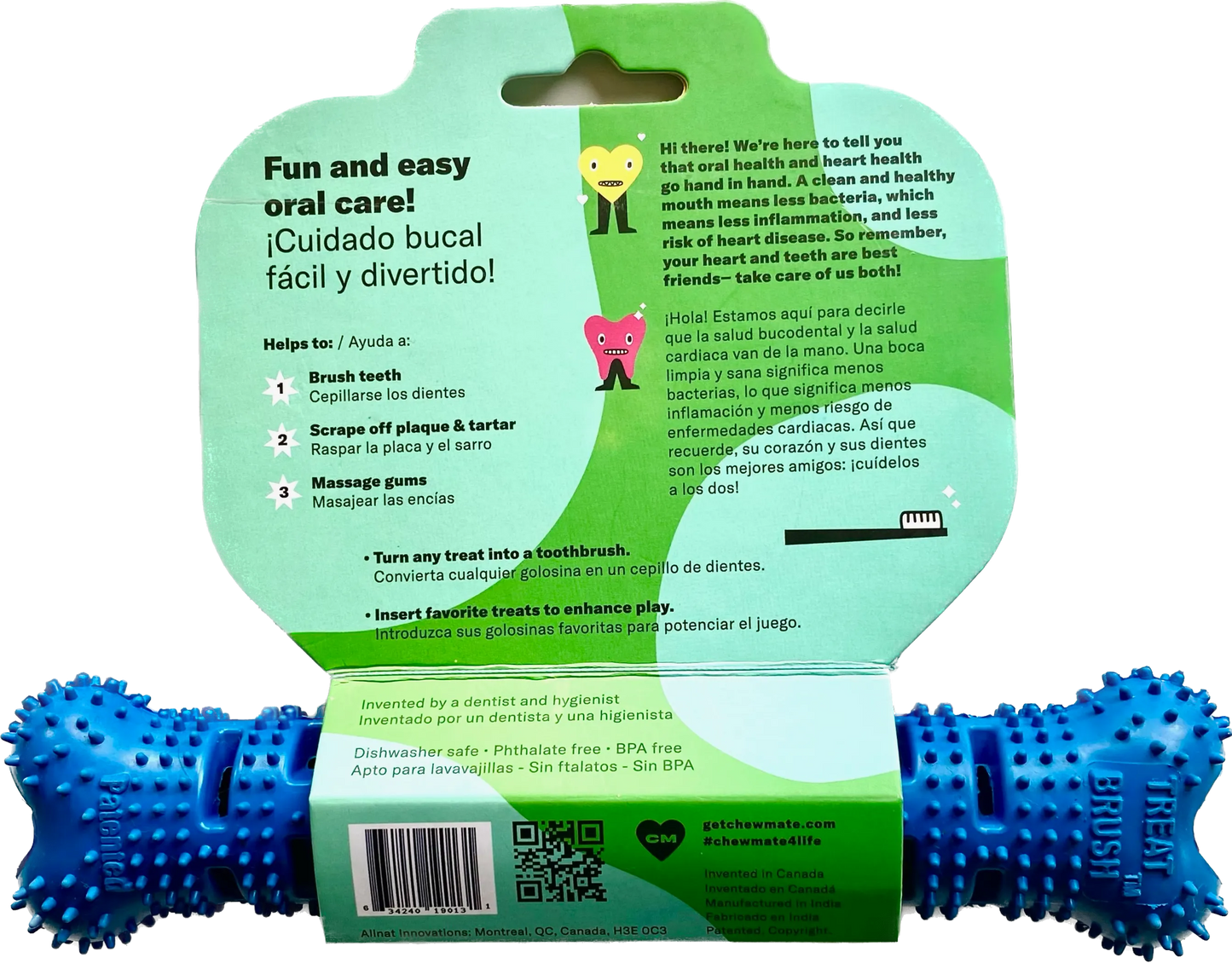 Natural Rubber Bone Toothbrush Toy - Your Pet Connection